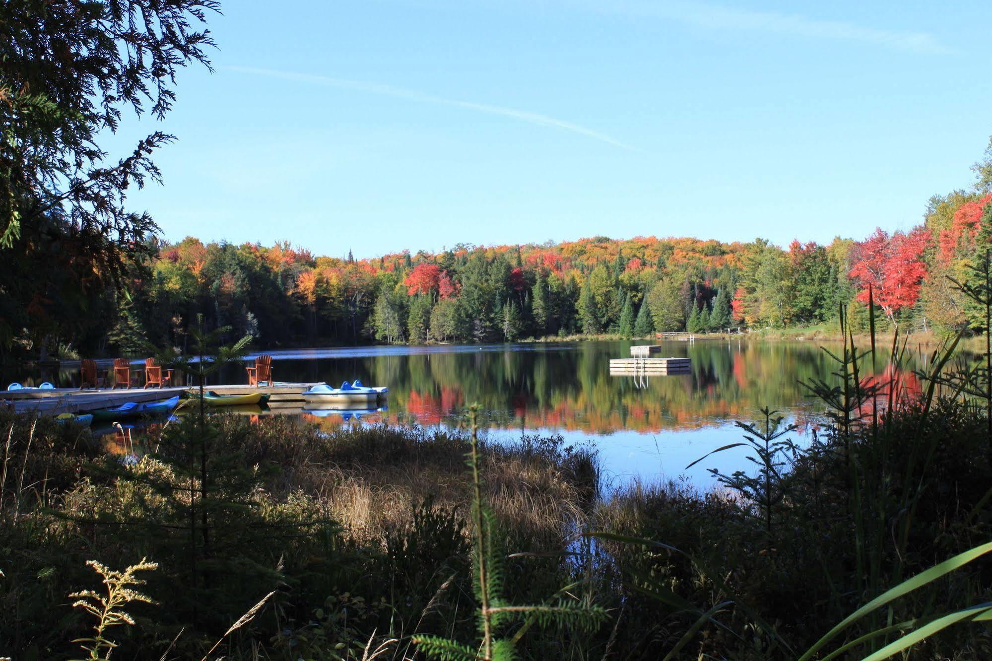 Blueberry Lake Resort Labelle Dış mekan fotoğraf