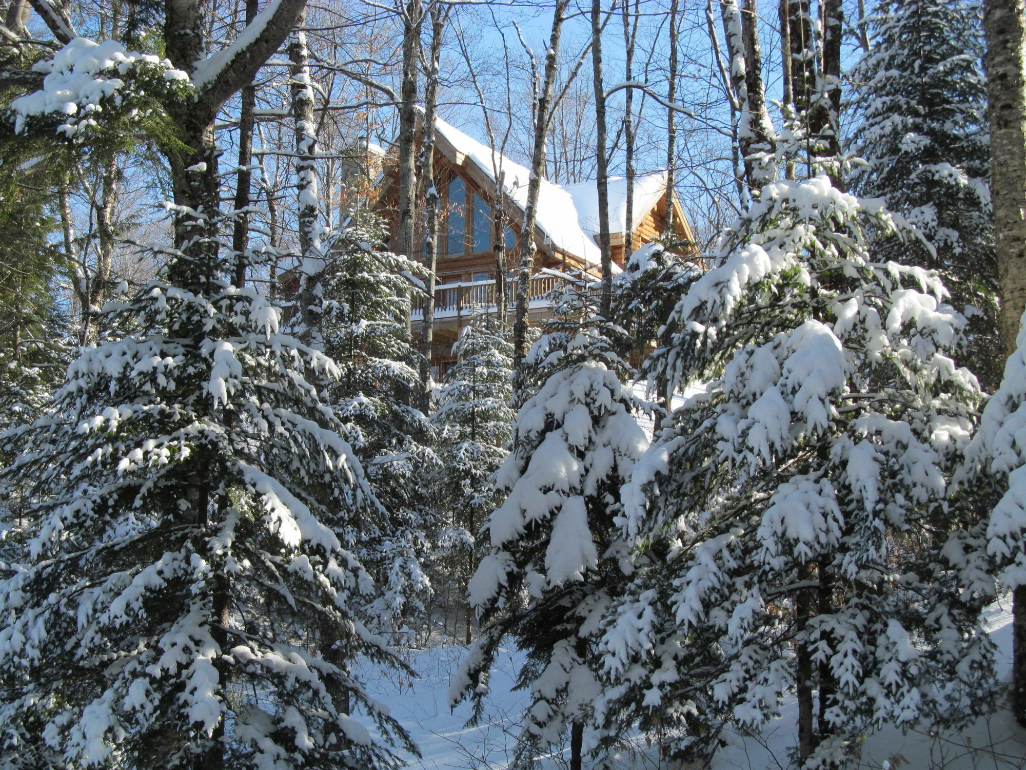 Blueberry Lake Resort Labelle Dış mekan fotoğraf